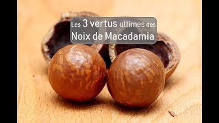 3 vertus des Noix de Macadamia [upl. by Saleem]