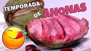 Anonas La fruta más esperada por los salvadoreños ilama Saramuyo papausha [upl. by Ynffit]