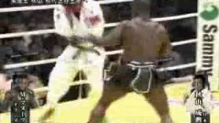 melvin manhoef vs Yoshihiro Akiyama [upl. by Ettenej]