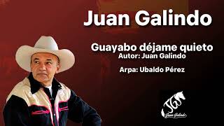 Juan Galindo  Guayabo dejame quieto [upl. by Aelem]