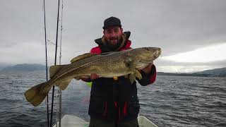 Angeln in Norwegen  BlakstadStorfjord 2018  DorschKöhlerPollack [upl. by Ynner799]