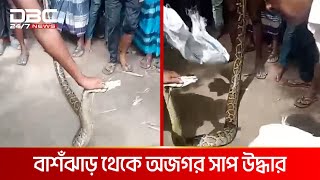 পঞ্চগড়ের তেঁতুলিয়ায় বিশাল আকৃতির অজগর সাপ উদ্ধার  DBC NEWS [upl. by Korman]