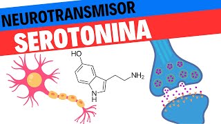 Fisiología de la Serotonina Neurociencias 13 [upl. by Odlareg]