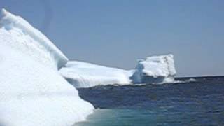 Iceberg rolls into the Atlantic Ocean in St Johns Newfoundland Canada [upl. by Lawton]