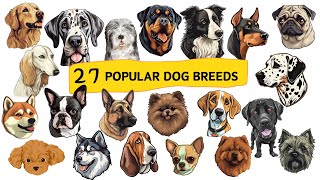 Learn Dog Breed Names  27 Popular Dog Breeds  Dogs Vocabulary  Kids Learning Pre School Learning [upl. by Muhcon]