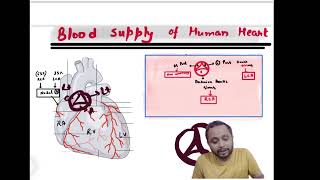 Blood supply of Heart Coronary circulationneetpg inicet fmge medicalentranceexam [upl. by Eb]