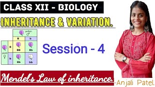 Class XII Biology  Inheritance and Variation  Mendels law of inheritance [upl. by Hayimas657]