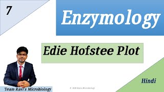 Eadie Hofstee Plot Hindi  Enzyme Kinetics [upl. by Browne]