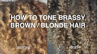 How To Tone BRASSY DARK Hair And ANY Shade Of BLONDE Hair [upl. by Pegg]