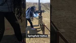 Springfield Armory Hellion  1st shots [upl. by Iruam895]