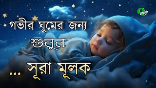 Sura Mulk سورة الملك সূরা মুলকঅনেক সুন্দর তিলাওয়াত। হাফেজ ক্বারী ইসলামুল হক সোলাইমান।Quranic TV [upl. by Nosredna288]