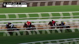 Flemington Jump Outs 6 October 2023 Jump Out 7 [upl. by Eiuol92]