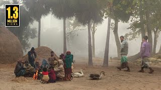 কুয়াশার চাদরে মোড়া সিরাজগঞ্জের বাকাই গ্রাম ২০২৩  PanoramaDocumentary [upl. by Alhsa]