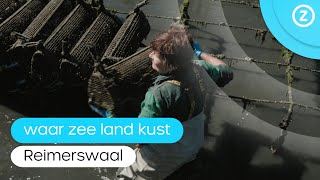 Waar zee land kust Reimerswaal [upl. by Enaxor]