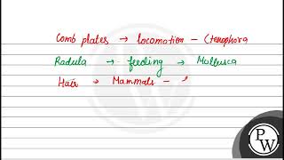 14 Match the following a Operculum i Ctenophora b Parapodia ii Mollusca c Scales ii [upl. by Lux952]