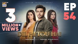 Dil Hi Tou Hai Episode 54  Ali Ansari  Zoya Nasir  30 Nov 2023  ARY Digital [upl. by Sievert]