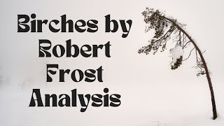 Birches by Robert Frost Analysis [upl. by Jarek321]