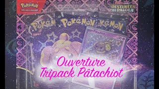 Ouverture tripack Pâtachiot Destinée de Paldéa [upl. by Emirac683]