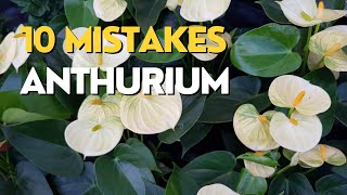 10 MISTAKES Growing Anthuriums  Flamingo Flower Care Tips [upl. by Lindsay]