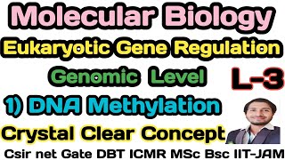 Eukaryotic Gene RegulationL3Mechanism of gene Regulation by DNA Methylation in EukaryotesCsirnet [upl. by Jackquelin945]