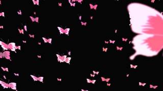 OVERLAYS mariposas revolotenado [upl. by Nlyak]