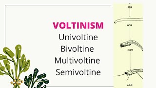 Voltinism univoltine bivoltine multivoltine semivoltine [upl. by Hillel]