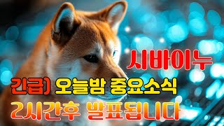 시바이누 코인  긴급 오늘밤중요한 소식 1 2시간뒤 발표됩니다 시바이누 시바이누코인 코인 코인전망 비트코인 [upl. by Llerdna]