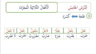 Arabic Morphology 5  BROADER SCALES OF TRILITERAL VERBS [upl. by Voleta]