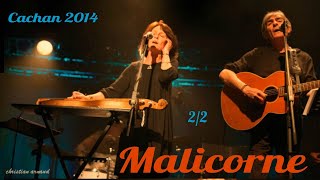 Malicorne Cachan 2014 p2 [upl. by Arbmahs]