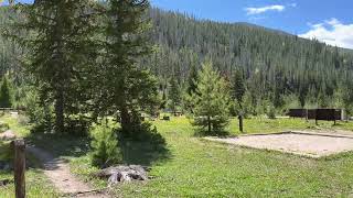 Spend Some Quality Time With Some Baby Elk at Rocky Mountain National Park Colorado United States [upl. by Anillehs]