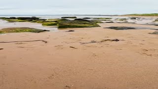 Seahouses Beach Northumberland [upl. by Bringhurst]