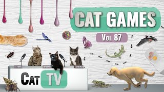 CAT Games  Ultimate Cat TV Compilation Vol 87  4 HOURS 🐝🐞🦋🦎🦜🐜🐭🧵 [upl. by Lebama516]