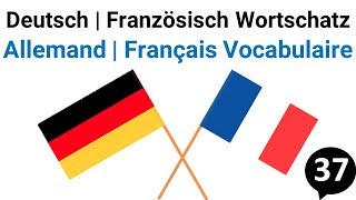 Französisch Sprachkurs  Französisch lernen  Französisch Wortschatz [upl. by Eynahpets]