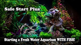 How to setup a Freshwater Aquarium Fish Tank WITH Fish in it SafeStart No Waiting Startup [upl. by Prudhoe]