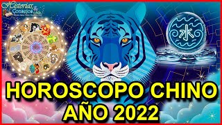 Horóscopo Chino 2022  Año del Tigre de Agua [upl. by Sadirah]