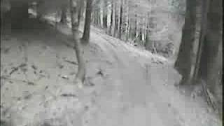 Glentress and Kielder singletrack [upl. by Reisfield]