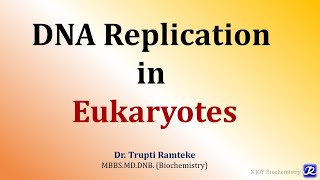 5 Replication in Eukaryotes  Molecular Biology Biochemistry  NJOY Biochemistry [upl. by Strander861]