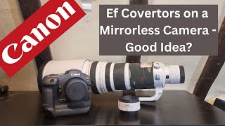 How well do EF Convertors work on Mirrorless Cameras [upl. by Oremar341]