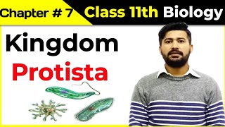 71 Kingdom protista  Kingdom protoctista  Fsc Biology lectures series by irtisamsbiology [upl. by Enimasaj]