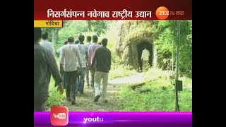 गोंदिया  नवेगाव राष्ट्रीय उद्यानाला अच्छे दिन कधी येणार [upl. by Yrbua]