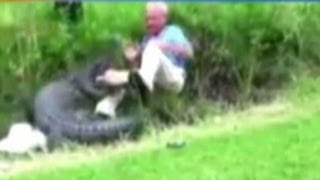 Man Describes Frightening Alligator Attack That Was Caught On Tape [upl. by Heidt]