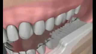 Cepillo Dental Colgate 360° para una buena salud bucal [upl. by Burnham882]