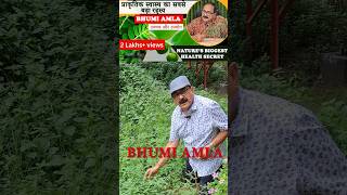 Bhumi Amla ke Chamatkari Fayde  Boost Your Health Naturally [upl. by Clayton]