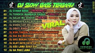 DJ SLOW FULL BASS TERBARU 2024 🌾DJ CIINAN BANA • DJ SALAHMU SENDIRI • VIRAL [upl. by Salahcin660]