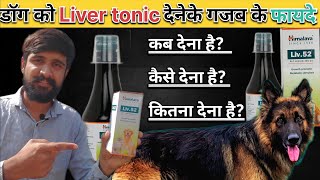 how to give Liver tonic to dog  dog ko liver tonic dene ke fayde  Liv 52 pet liquid [upl. by Ahsieat405]