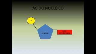 Biossíntese de Ácidos Nucléicos  Bioquímica [upl. by Kerwin225]