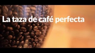 La taza de café perfecta [upl. by Merton]