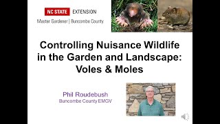 Controlling Garden WildlifeVoles and Moles [upl. by Caritta]