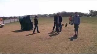 Sylt mit Hund  Der große Hundeauslauf am Flughafen Westerland [upl. by Zetram160]