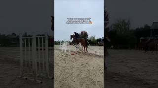 equestrianlife horse equitation showjumping short shorts pourtoi equestrian cso jump [upl. by Einahpehs]